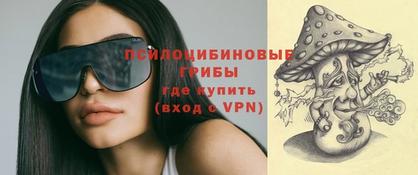 дурь Нягань