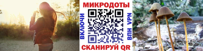 даркнет сайт Бабушкин Псилоцибиновые грибы Psilocybine cubensis