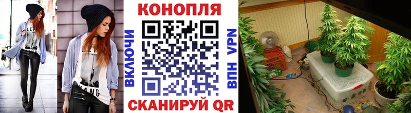 Канабис OG Kush MEGA как войти Бабушкин